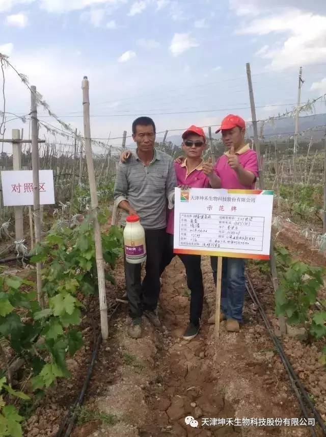 1495333128661828.jpg 微信圖片_20170521101848.jpg