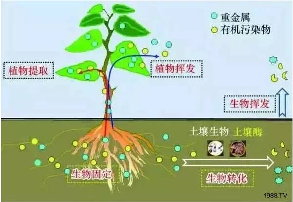 1495342182123716.jpg 微信圖片_20170521124910.jpg