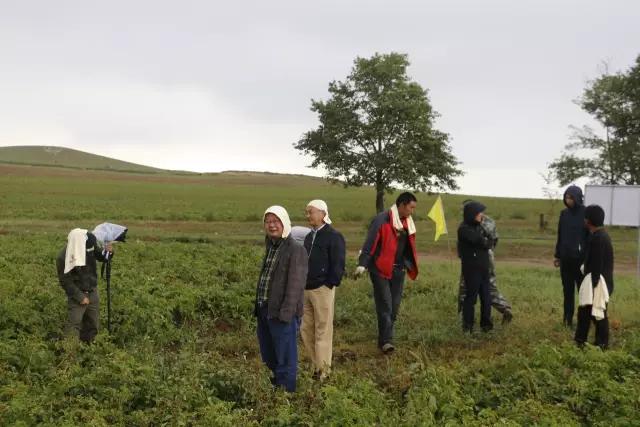 1505790660737650.jpg 薯來(lái)寶5.jpg