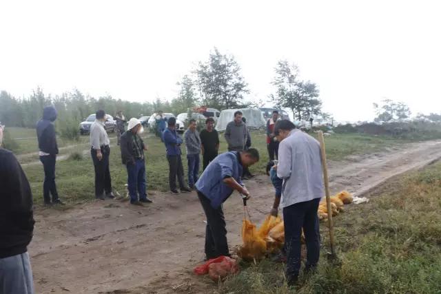 1505790725190372.jpg 薯6.jpg