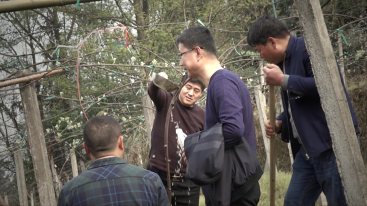 1525338452108642.jpg 微信圖片_20180503170225.jpg