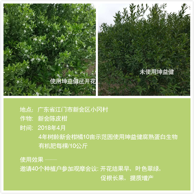 1525683665124908.jpg 陳皮橘(加文字).jpg