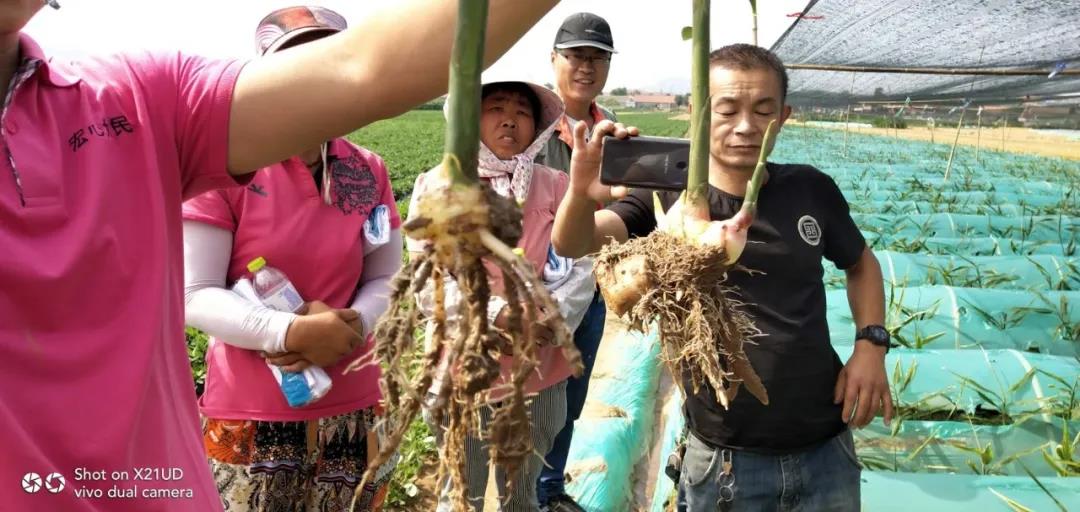 1587956718500082.jpg 微信圖片_20200427110452.jpg