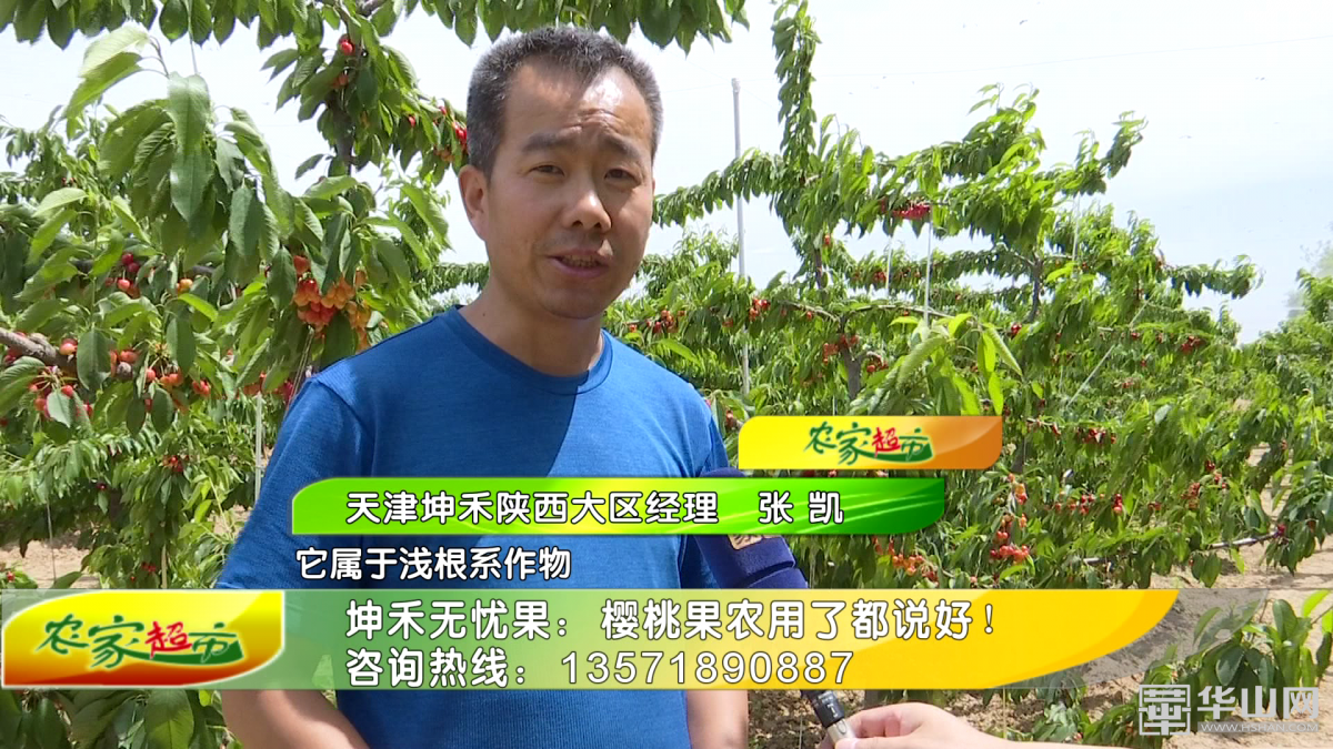 1592280279442593.png 20200527193330QNJh.png