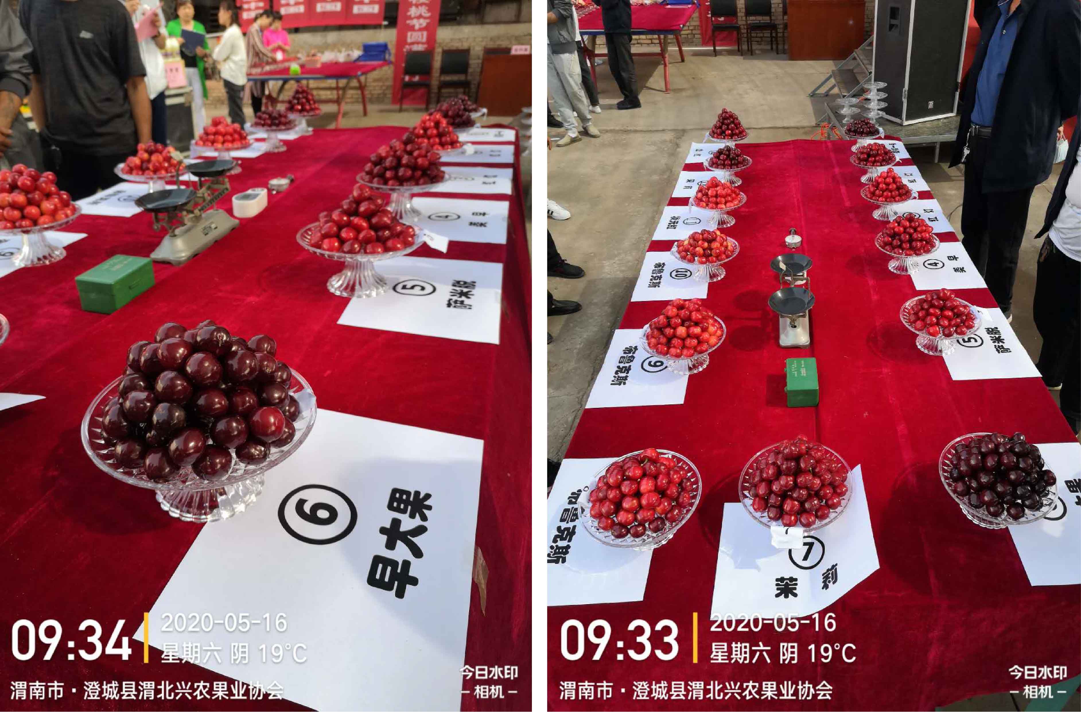 1598420716511191.jpg 未標(biāo)題-1-01.jpg