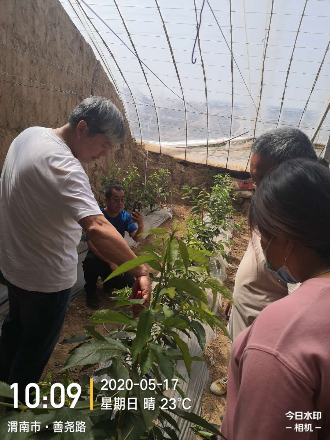 1598420753837548.jpg 萬老師現(xiàn)場培訓(xùn)農(nóng)戶1.jpg