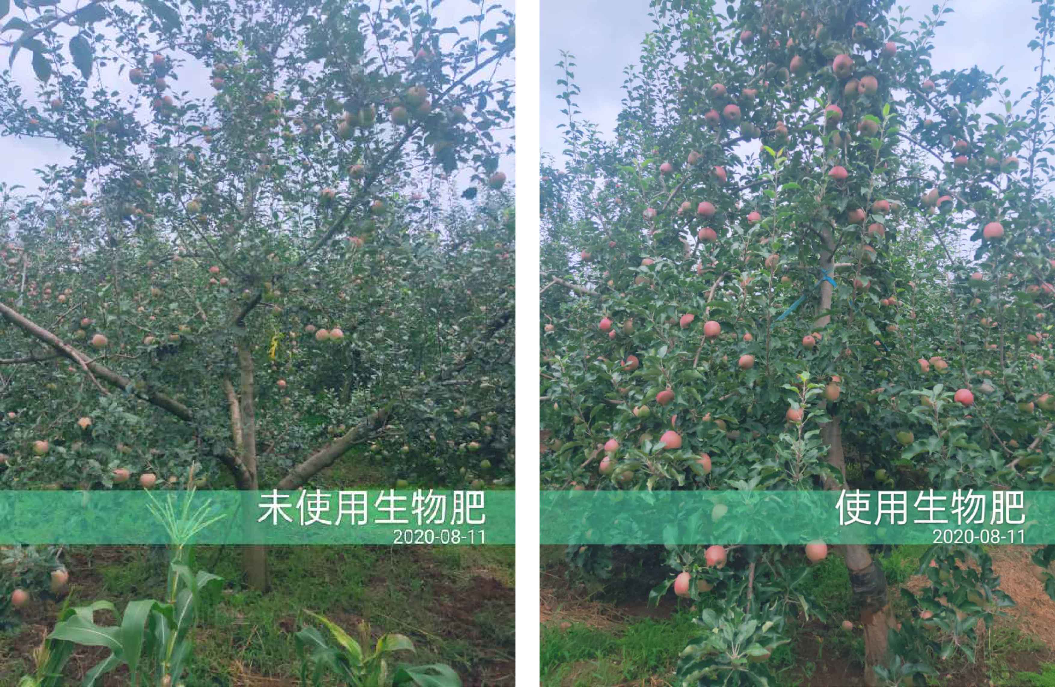 1598498613379816.jpg 對比1-01.jpg