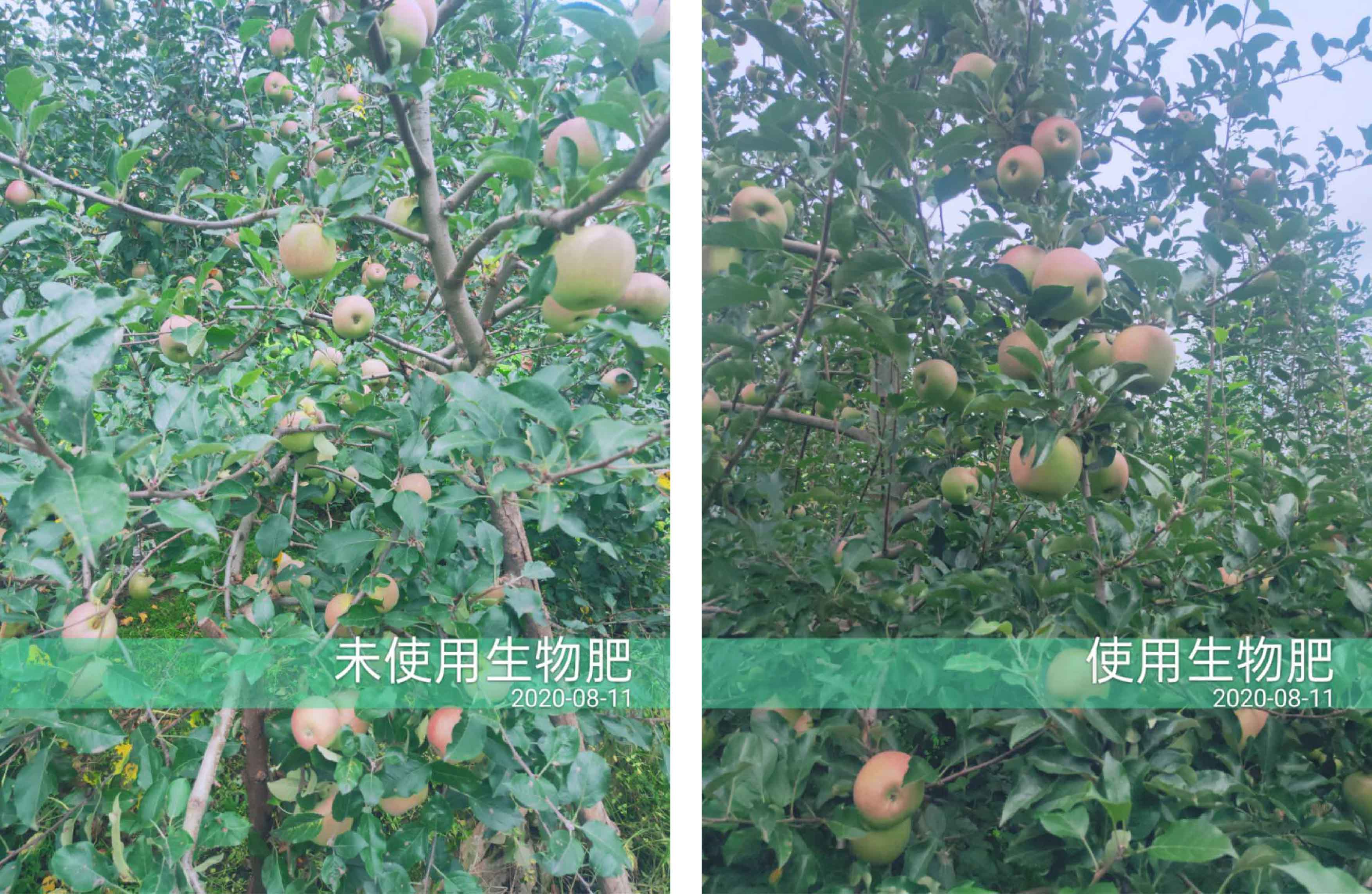 1598498630755827.jpg 對比2-01.jpg