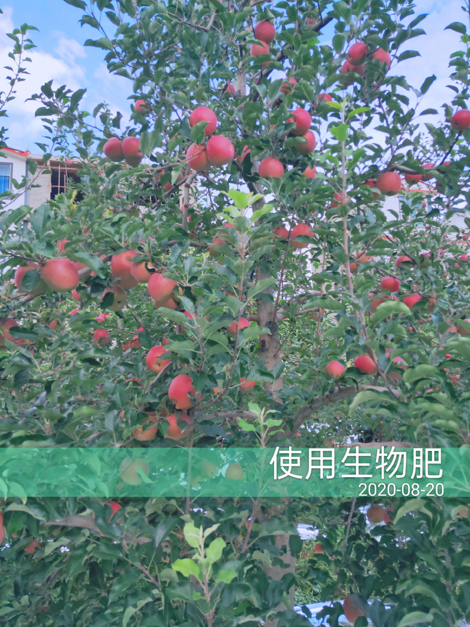 1598498659961663.jpg 微信圖片_202008210950172.jpg