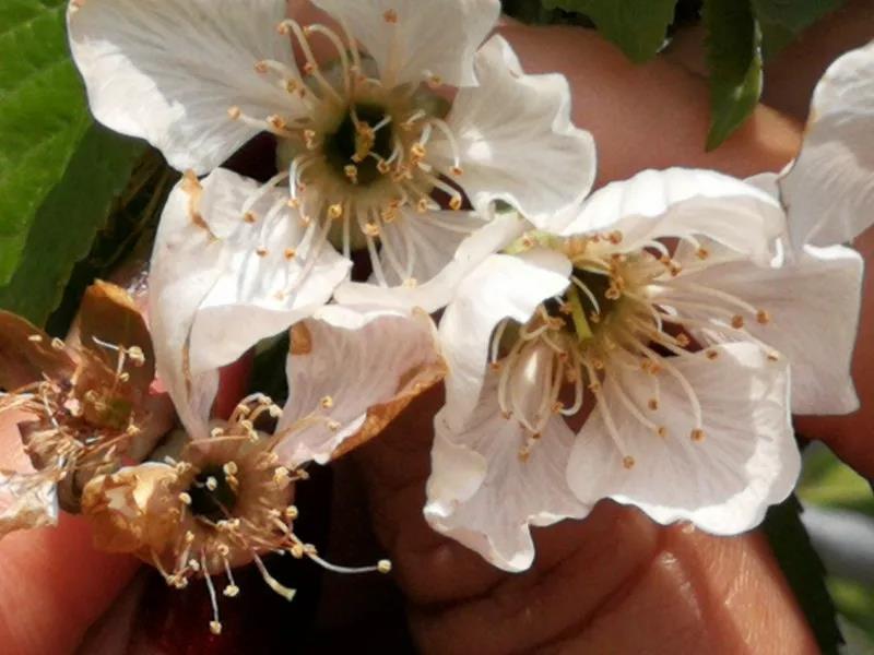 1627529631586408.jpg 微信圖片_20210728164906.jpg