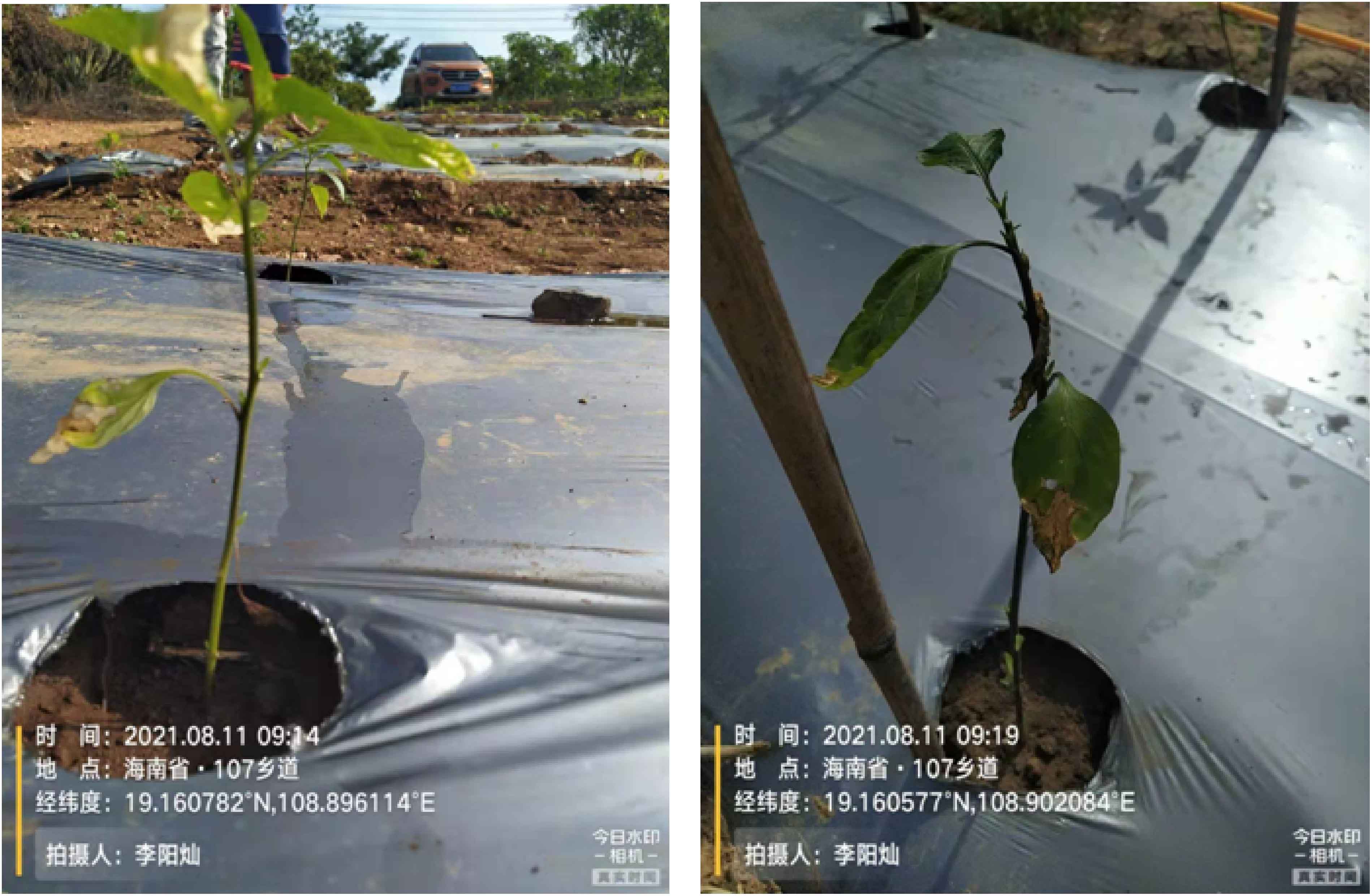 1630563210132099.jpg 6-01.jpg