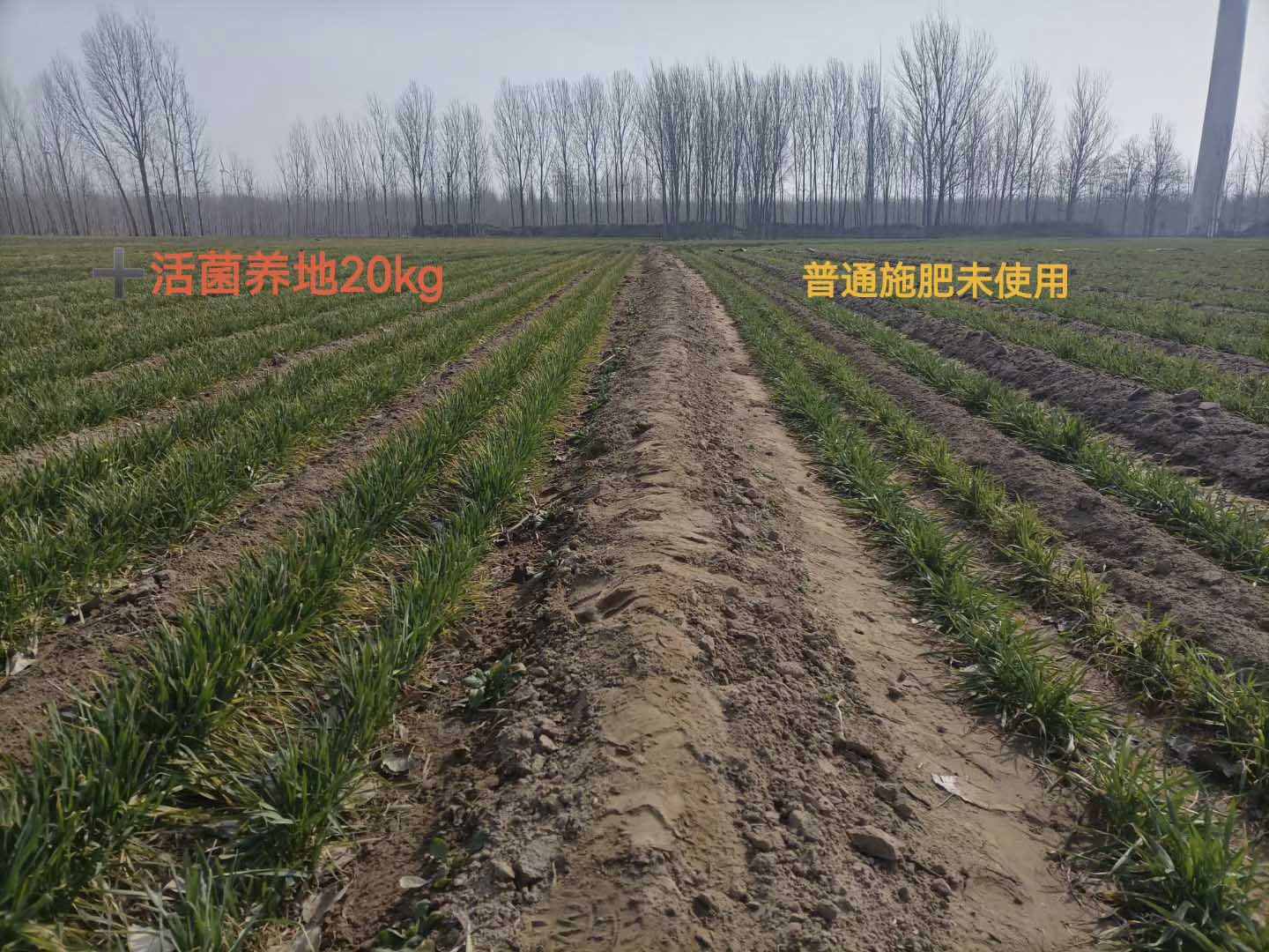 1683615227113606.jpg 微信圖片_202305041334121 壓縮.jpg