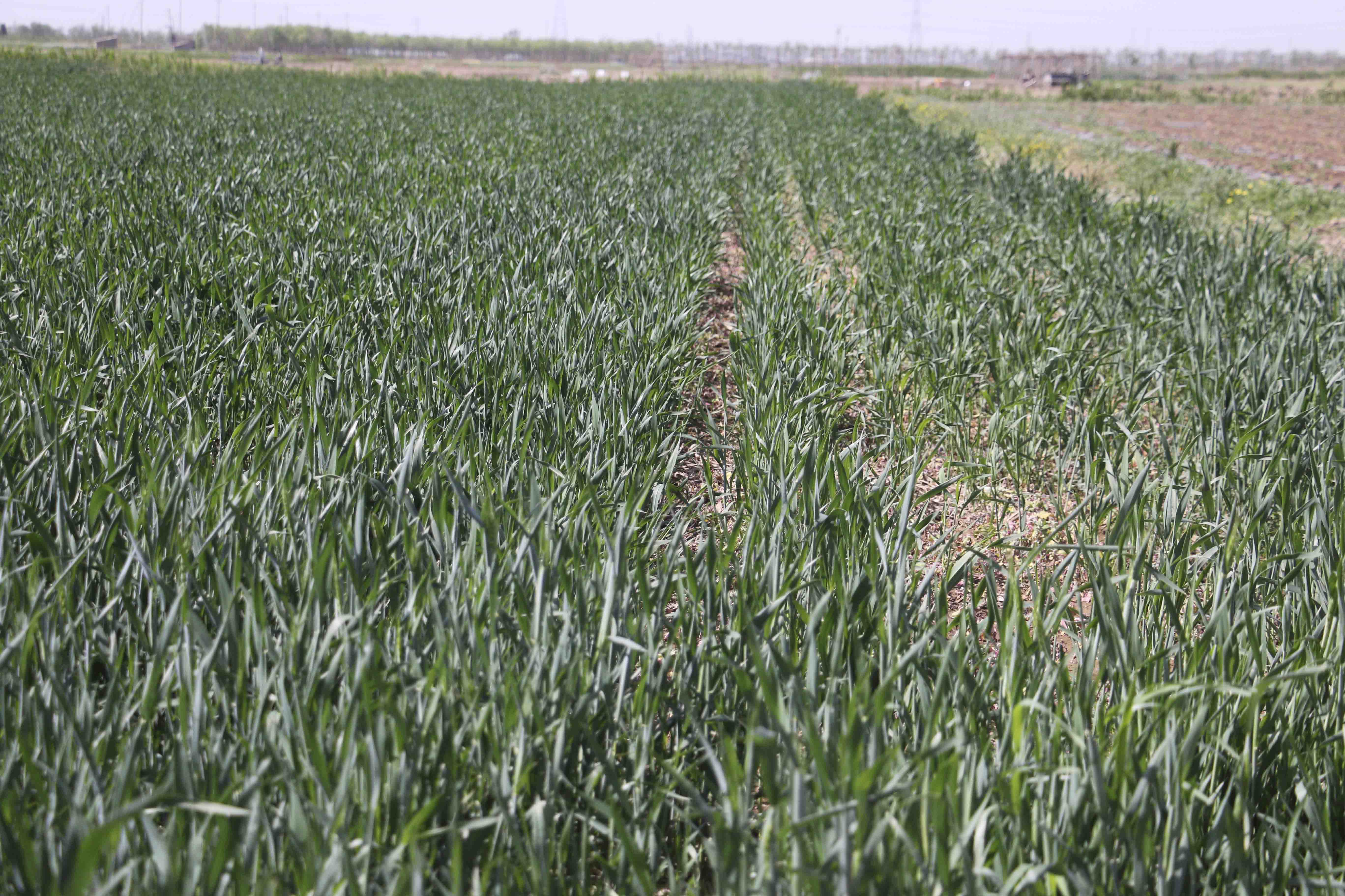 1683615381908013.jpg IMG_0487 壓縮.jpg