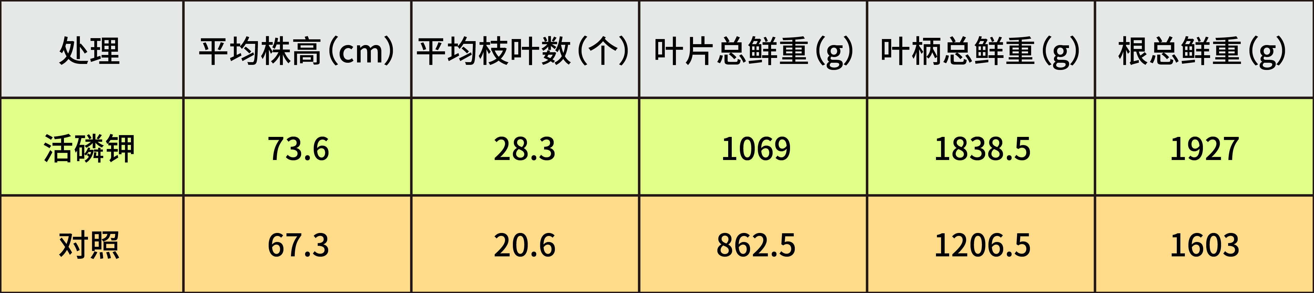 1691459929101721.jpg 表格-01.jpg