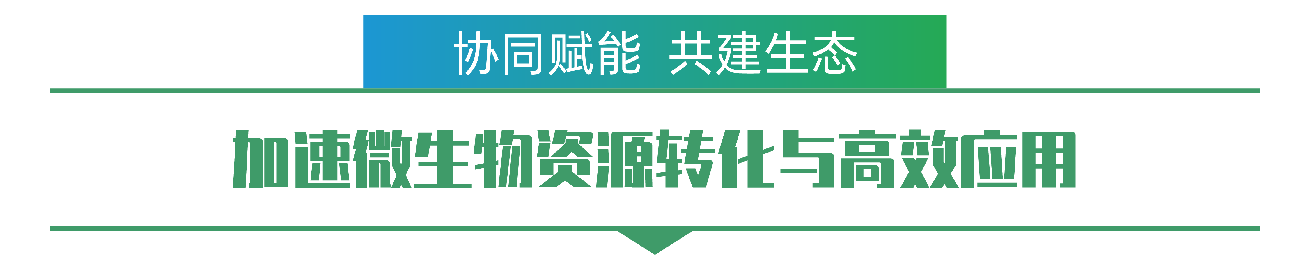 1702259203998767.png 王亞玉-01.png