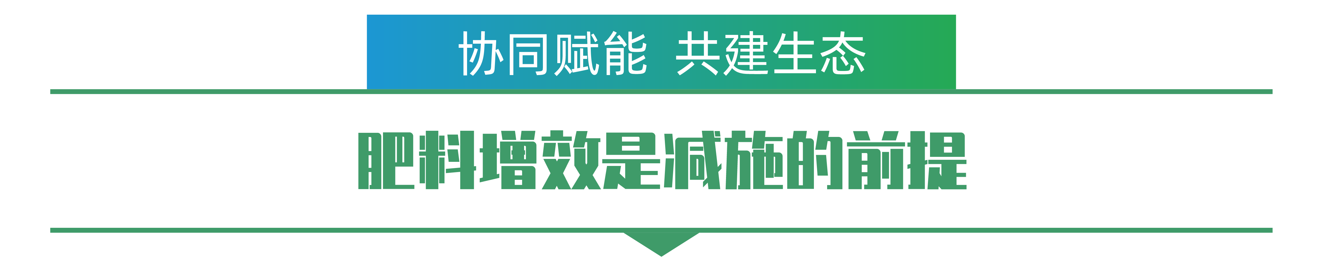 1702259229393511.png 白由路-01.png