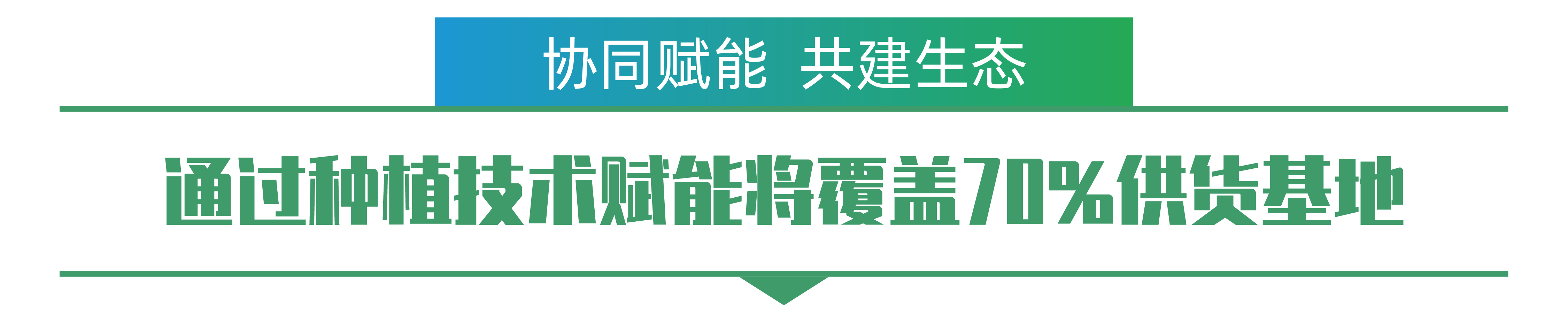 1702259347857948.png 唐田生-01.png