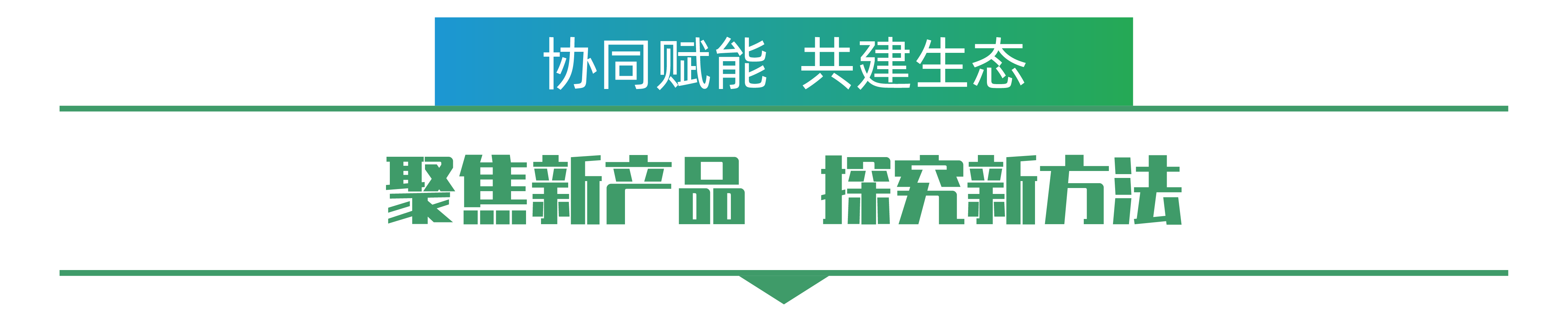 1702259381478901.png 張欽書-01.png