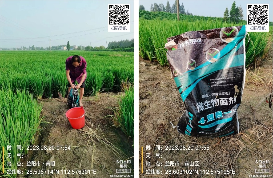 1713503706356575.png 333.png